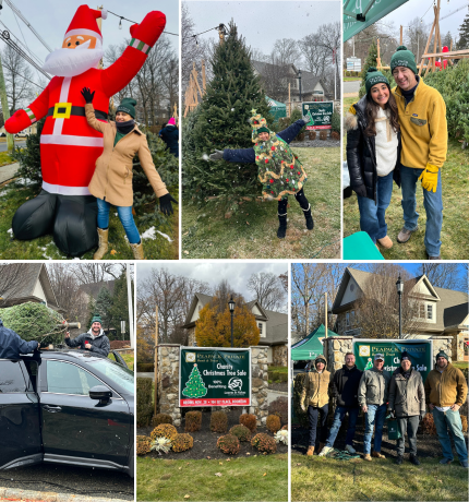 2025 Christmas Tree Sale Images