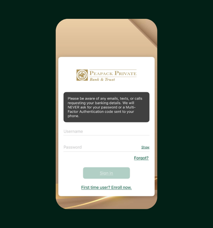 Online Banking Cell phone image